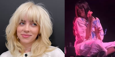 billie eilish hit by necklace during arizona concert performance