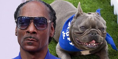 snoop dogg says goodbye to beloved french bulldog juelz
